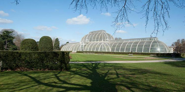 The Palm House, Kew Gardens