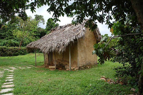 ￼A replica of an early British Cruck house with thatch roof and wattle and daub coating to the