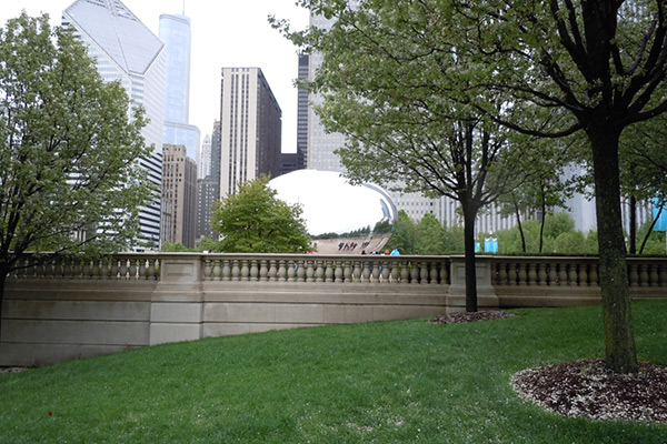 Millennium Park, Chicago, showing the Cloud Gate sculpture against the backdrop of the city buildings 2011. Photography by Ana Lopes Ramos