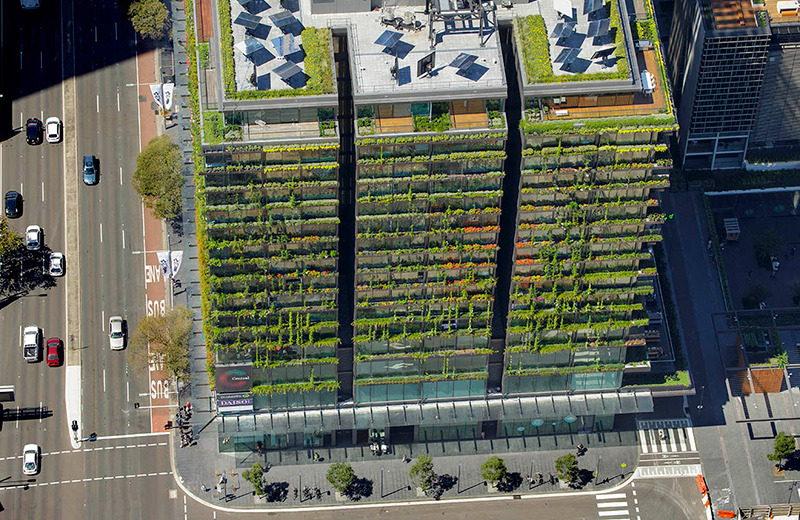 One Central Park’s hydroponic gardens, spanning 1200 square metres, by Patrick Blanc