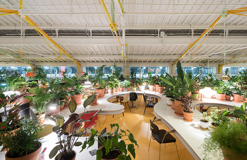 Second Home Lisboa working space by Spanish architects José Selgas and Lucía Cano