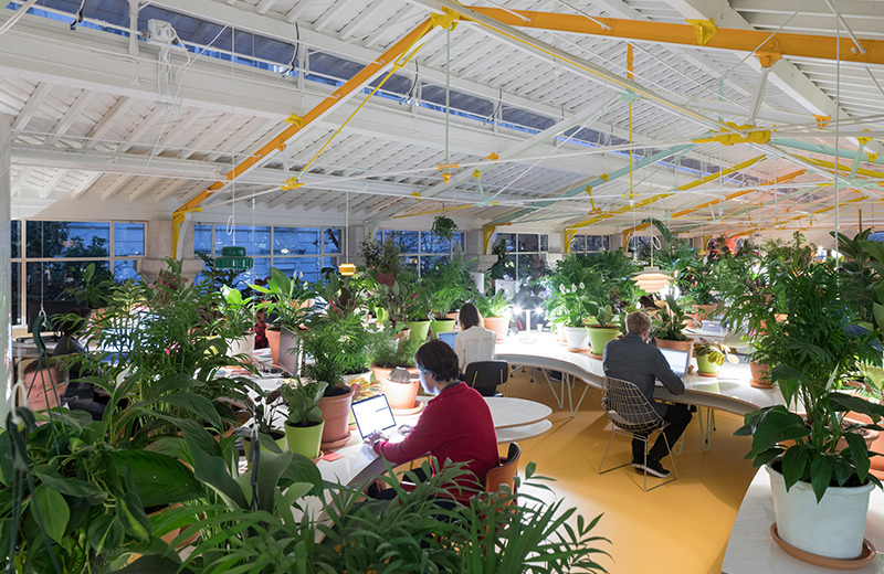 Plants create personal working spaces, purify the air and attenuate noise. Second Home Lisboa working space by Spanish architects José Selgas and Lucía Cano