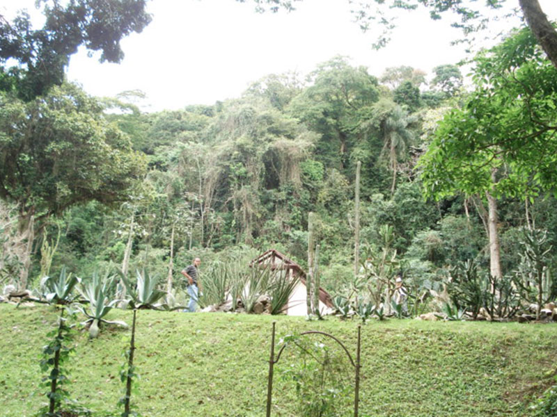 The Orchidarium, Jardim Botanico garden, Rio de Janeiro. Photography by Lola Adeokun