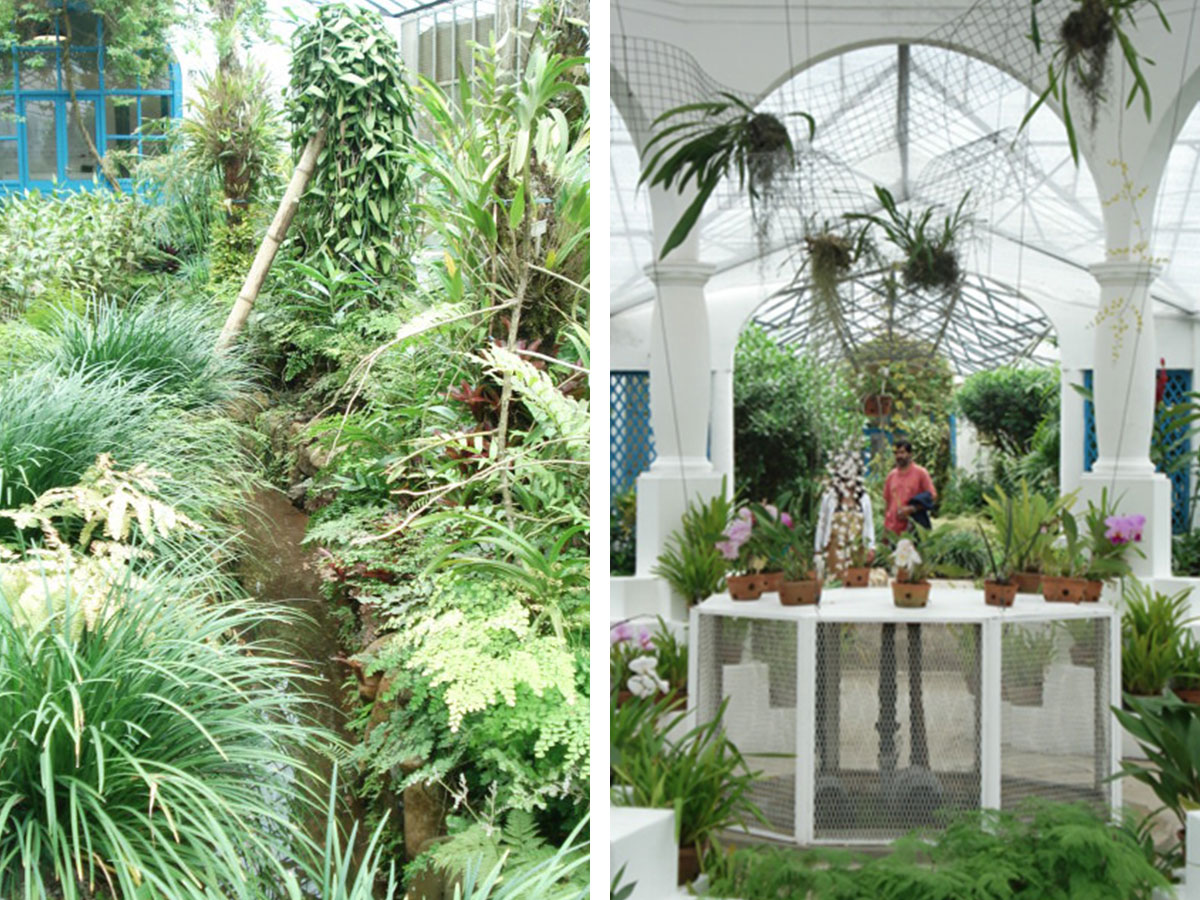 Left: Lovely shades of green planting and waterways in a small part of the Orchidarium. - Right: Inside the Orchidarium, Jardim Botanico, rio de Janeiro. - Photography by Lola Adeokun