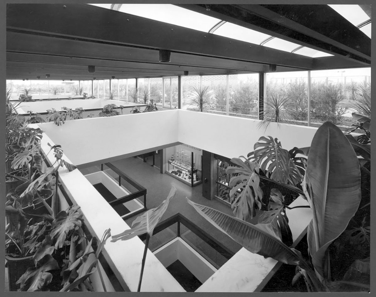 The upper storey gallery at Southland where fruit salad plants bring the outside in / photograph by Wolfgang Sievers / Pictures Collection, State Library Victoria H98.30/319