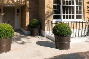Bespoke planters in patinated brass, showing the coloration after ageing, By John Desmond Ltd for 54 Bedford Gardens, London.